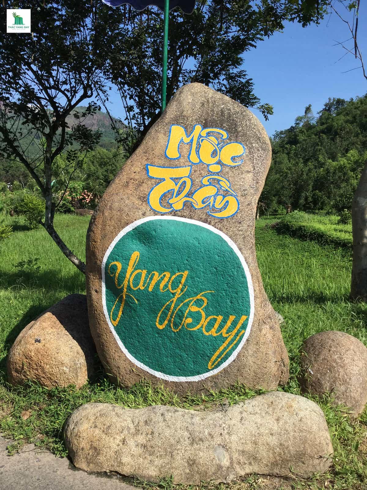 cay-moc-than-thac-yang-bay