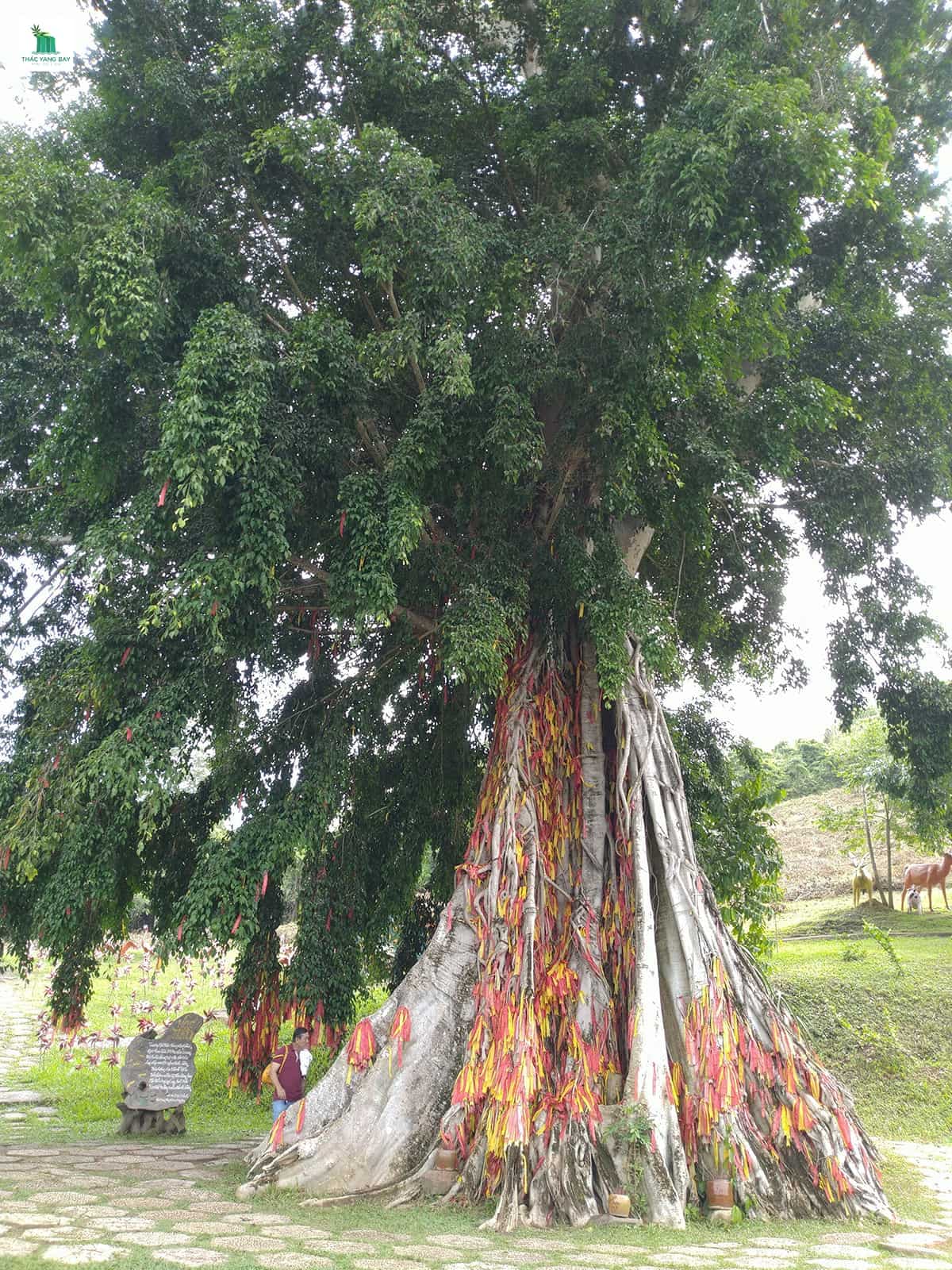 khu-khoang-nong-thac-ho-cho