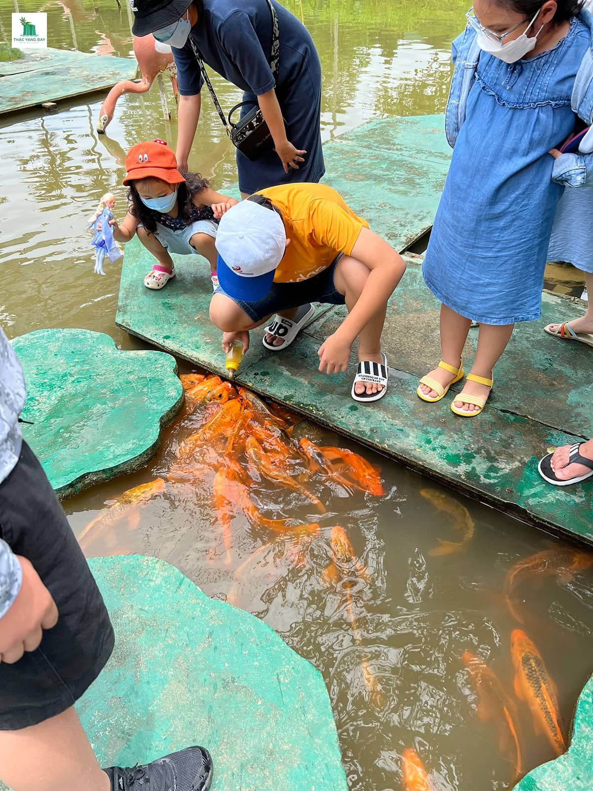 kinh-nghiem-du-lich-thac-yang-bay-nha-trang