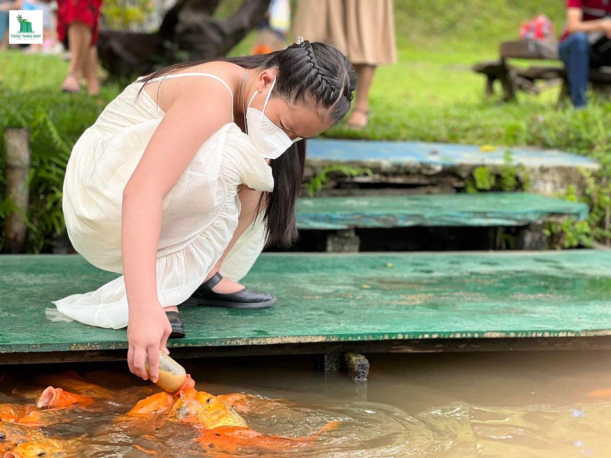 top-5-ly-do-nen-di-du-lich-thac-yang-bay-nha-trang