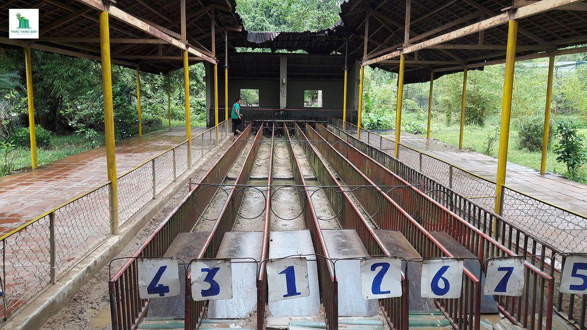 top-5-ly-do-nen-di-du-lich-thac-yang-bay-nha-trang