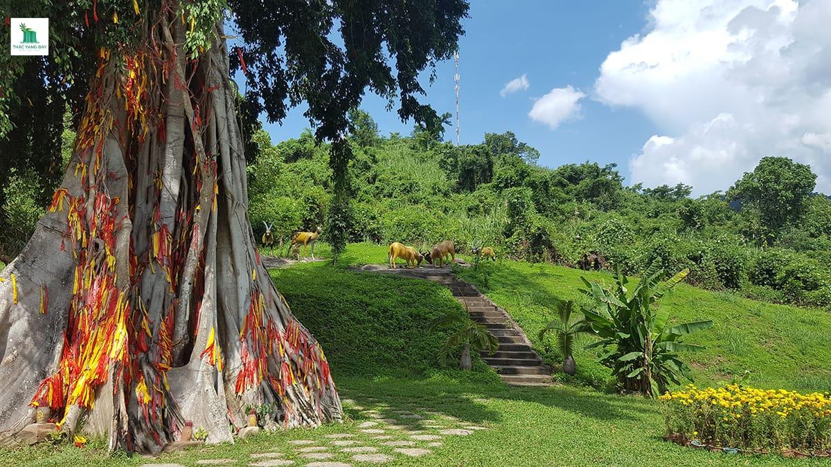 top-5-ly-do-nen-di-du-lich-thac-yang-bay-nha-trang
